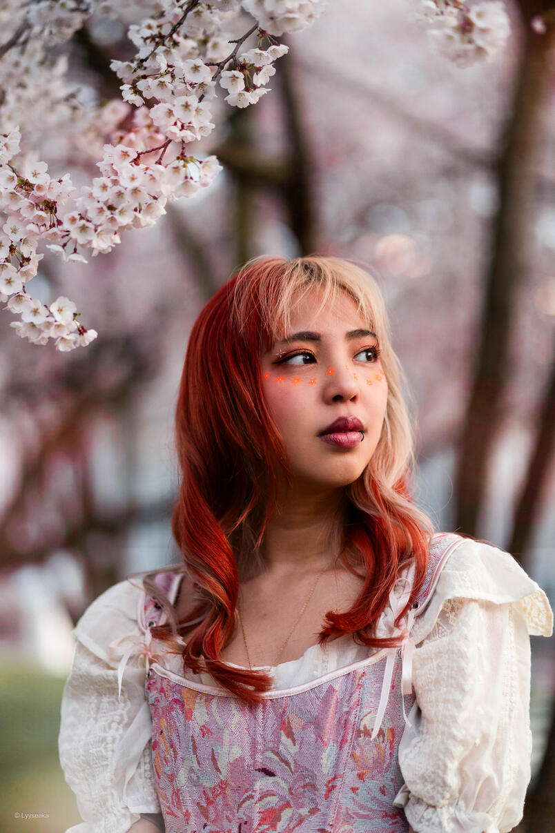 Alice-sakura